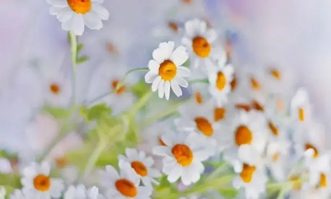 伤感的句子文案说说心情短语