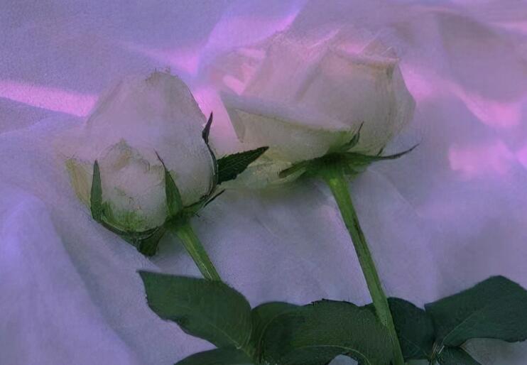 爱情句子文案表达伤心