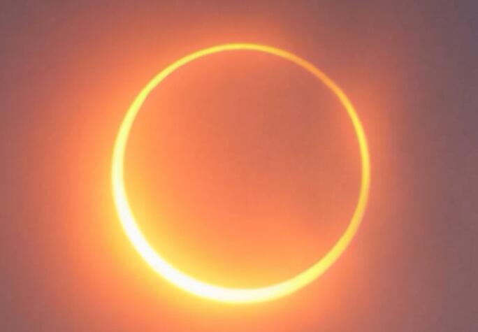 奋斗事业的女强人的句子文案