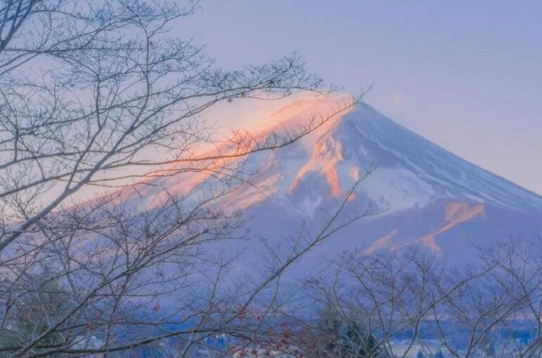 描写事物的简短句子文案