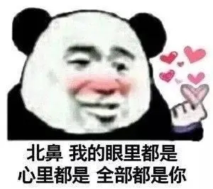 哄女朋友的土味情话文案