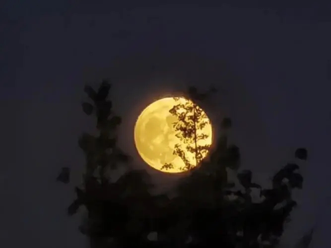 朋友圈晒月亮的说说文案