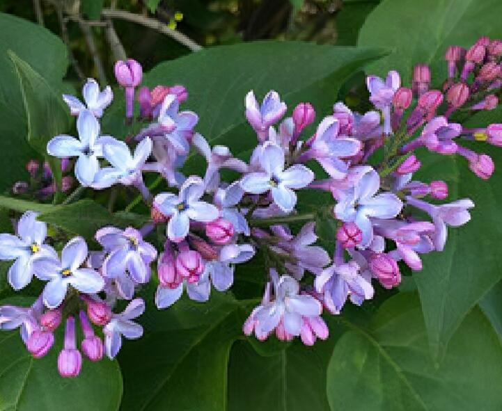 人生感悟致自己的说说文案