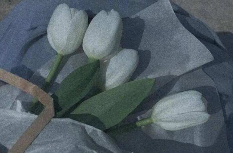 感慨的句子文案说说心情