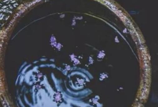 听风看雨的诗句文案