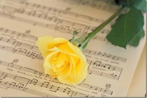 微笑面对每一天句子文案