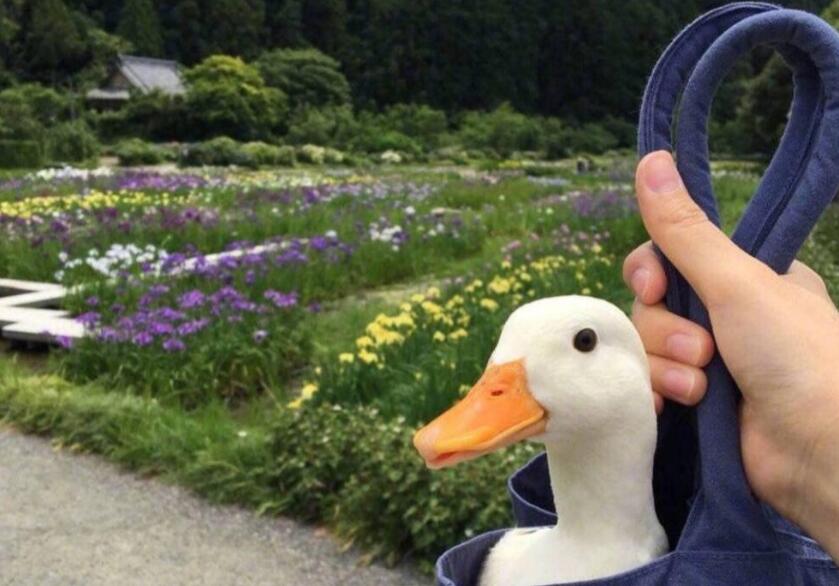 鼓励朋友留言的句子文案