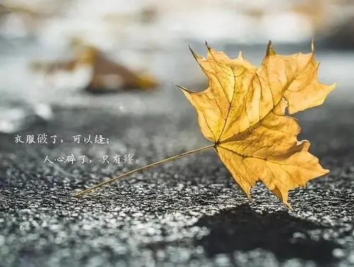 一件小事能看透一个人的说说文案