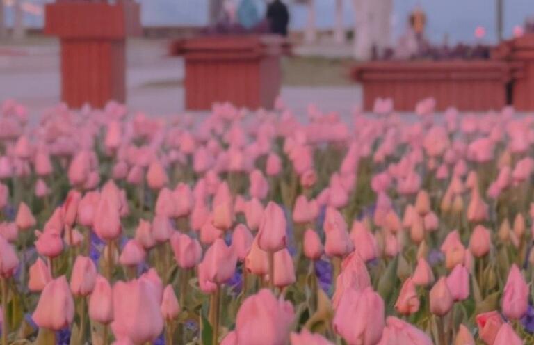 好好生活句子文案发朋友圈