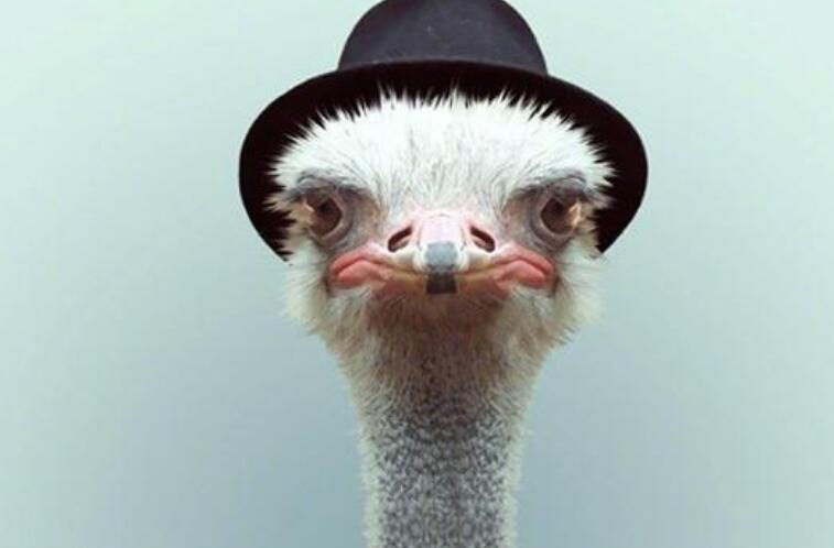 每日问候健康早安心语图片