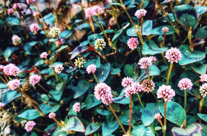 表白儿子的暖心句子文案