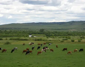 草原放松心情的说说文案短句