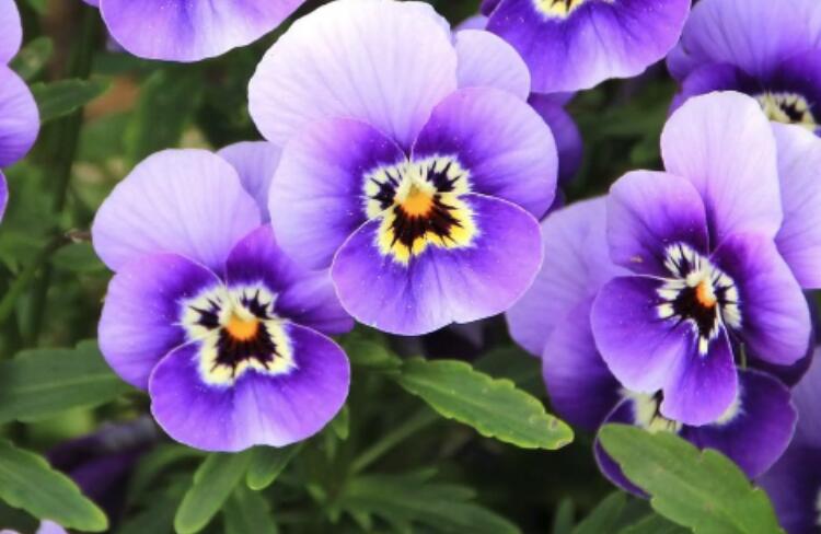 劝朋友节哀的短信