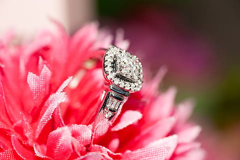 比喻爱情专一的诗词