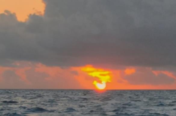 失恋后坚强励志的语录文案