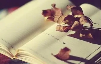 我的人生悲哀句子文案