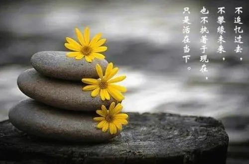 佛系鸡汤句子文案