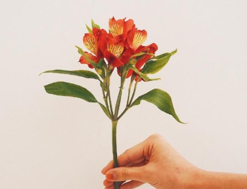 每日最新早安祝福语