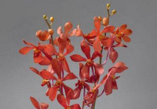 收到礼物发朋友圈的文案