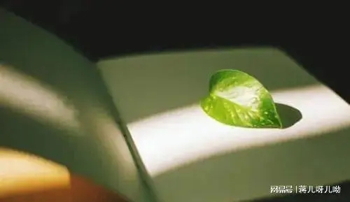 三观不合的心情短句