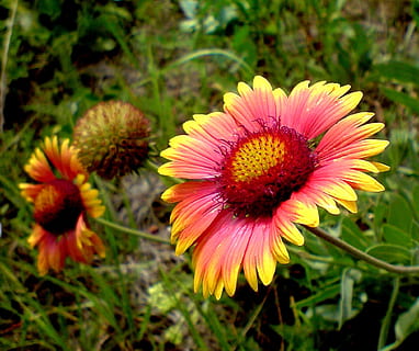 我想开头的句子文案有哪些