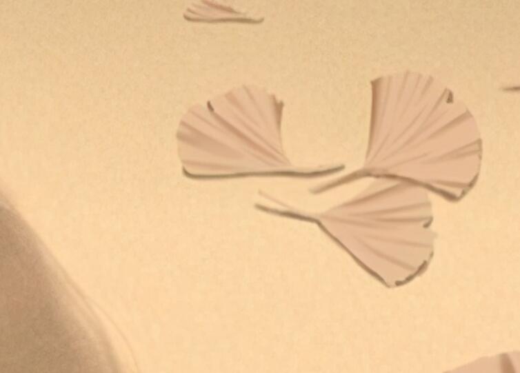 六年级毕业父母写给孩子的话