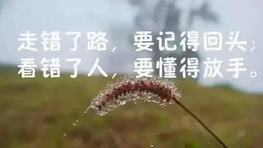 心情失落的8字短句