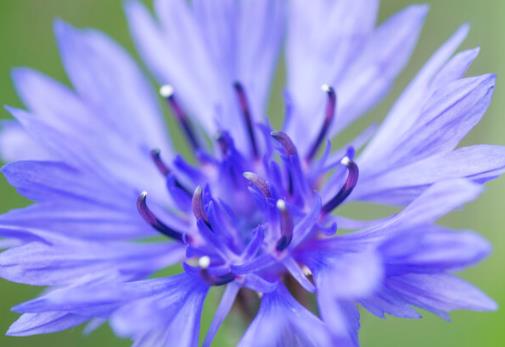 感谢妈妈的短句暖心