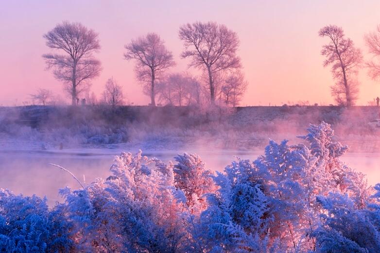 关于雾的诗句文案