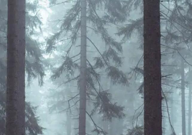 东野圭吾关于爱情的话