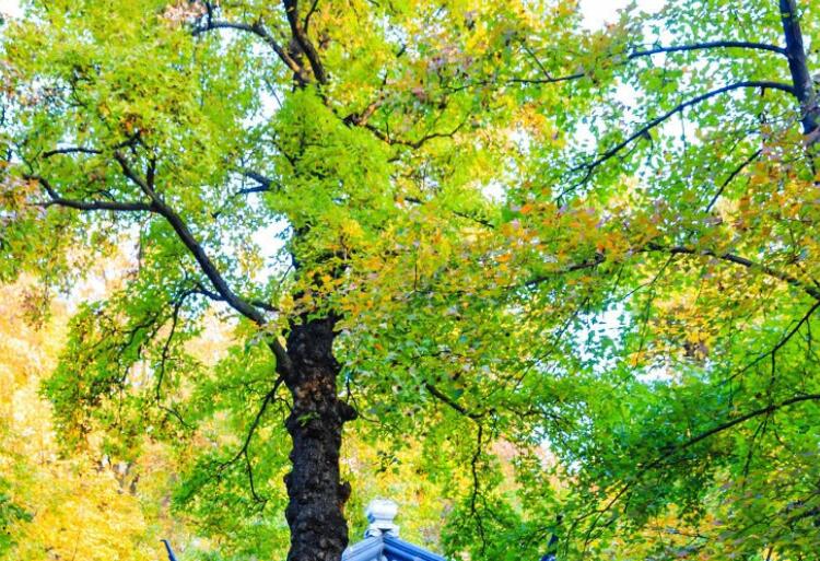 签名说说文案简单短句