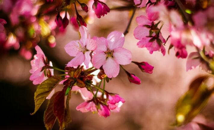 早晨问候正能量励志语