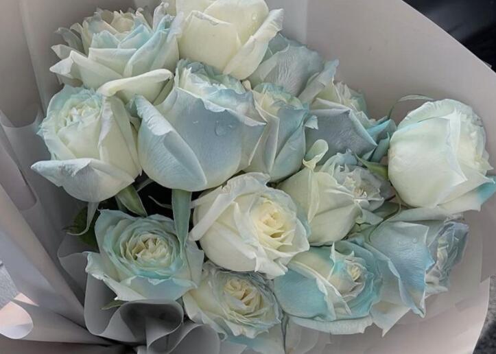 一句话形容玫瑰花