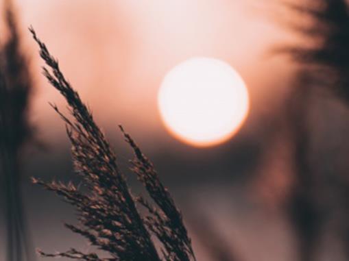 读书笔记摘抄好段大全