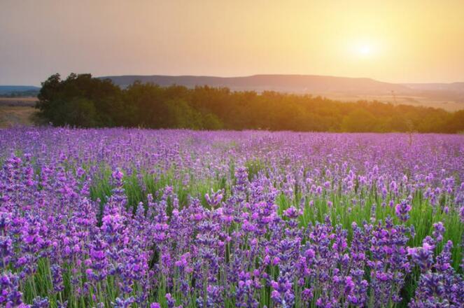 繁华落尽的说说文案