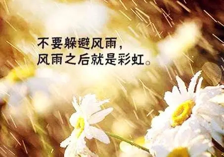 感慨生活艰难的句子文案