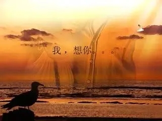 想挽回一段感情的话配图