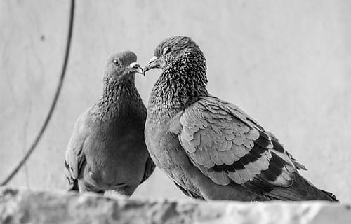 对感情彻底死心的句子文案