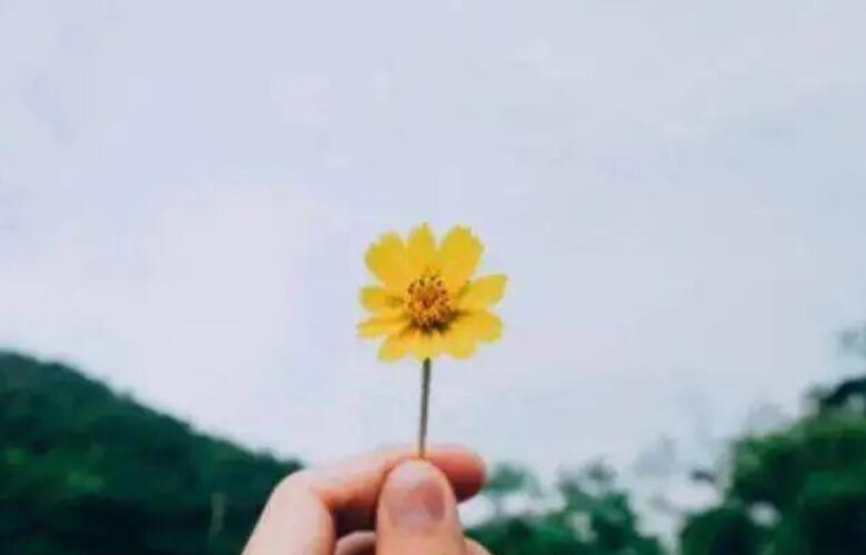 做好自己的短句