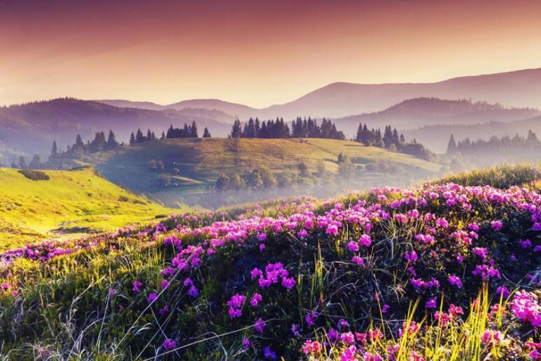 与大自然亲密接触的句子文案