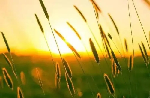 爆单发朋友圈文字