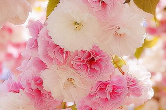 成功励志的句子文案简短