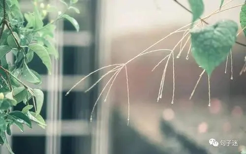 网红句子文案库