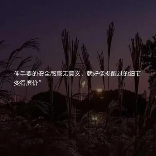 情感语录文案短句配图