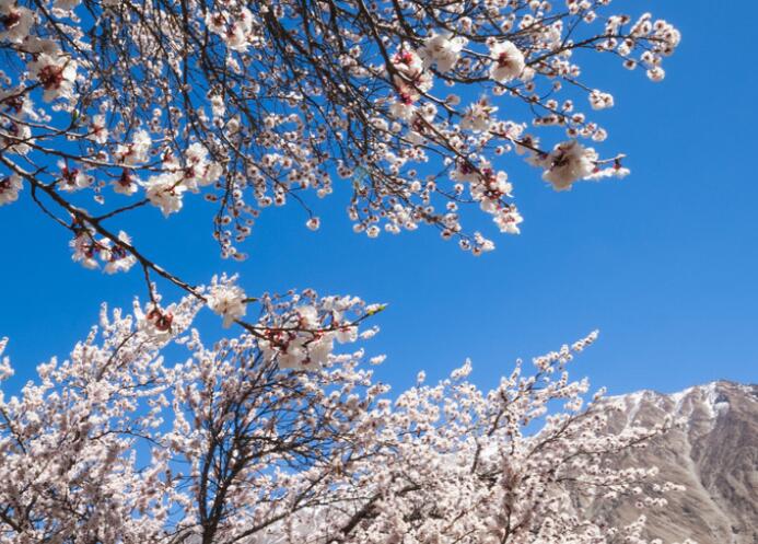 关于环境描写的好句文案