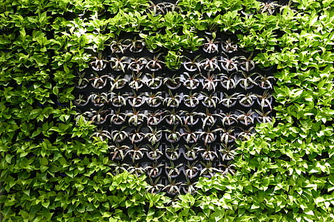 给老婆发的污污的情话文案