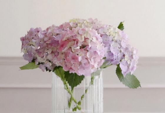 积极正能量的句子文案