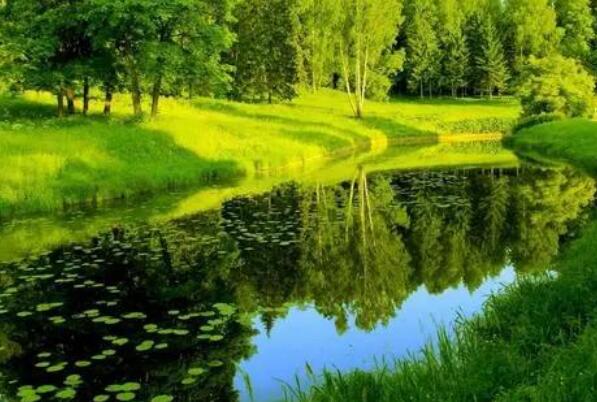 环境保护的经典名句文案