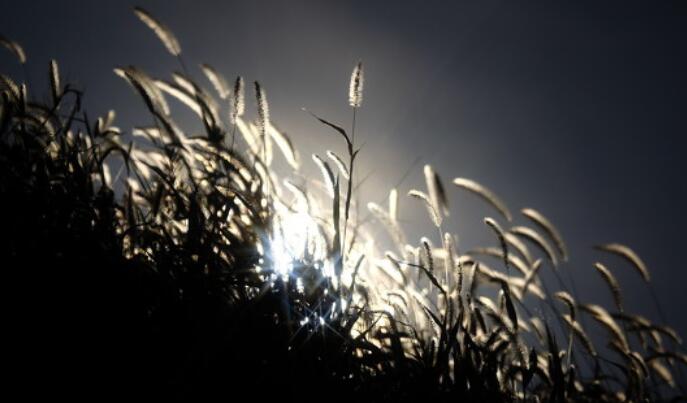 霸气伤感文案短句