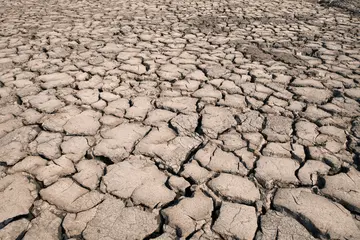 感叹自然灾害的句子文案